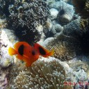 สมาชิกหมายเลข 2993555