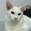 สมาชิกหมายเลข 905152