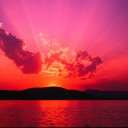 สมาชิกหมายเลข 1573201