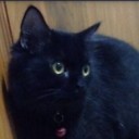 ไม่มีอีกแล้ว