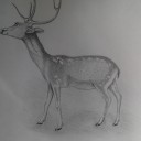 สมาชิกหมายเลข 1183935