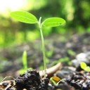 สมาชิกหมายเลข 2994220