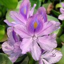 สมาชิกหมายเลข 935371