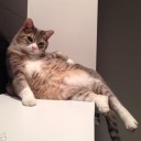 หิวไหม ทานอะไรมาหรือยัง