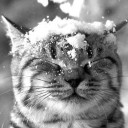 สมาชิกหมายเลข 854717