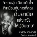 สมาชิกหมายเลข 1782866