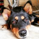 สมาชิกหมายเลข 2589067