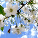 สมาชิกหมายเลข 947543