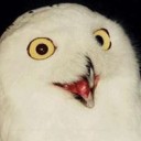 แมลงมะนาว