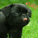 สมาชิกหมายเลข 1782990