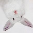 สมาชิกหมายเลข 2589352