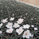 สมาชิกหมายเลข 1357709