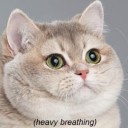 แฮ่กๆๆๆ