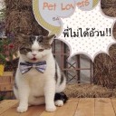 สมาชิกหมายเลข 2169200