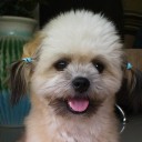 สมาชิกหมายเลข 2195202