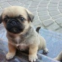 สมาชิกหมายเลข 2195507