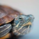 สมาชิกหมายเลข 2015756