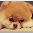 สมาชิกหมายเลข 2995929