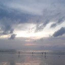 มะขามส้มเปรี้ยว