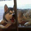 สมาชิกหมายเลข 1358307