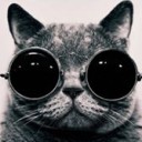 สมาชิกหมายเลข 1920056