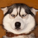 สมาชิกหมายเลข 2996295