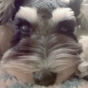 สมาชิกหมายเลข 3071935