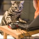 สมาชิกหมายเลข 831940