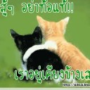 สมาชิกหมายเลข 954954