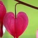 สมาชิกหมายเลข 1784397