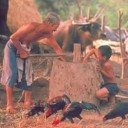 สมาชิกหมายเลข 2590272