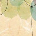 สมาชิกหมายเลข 2558847