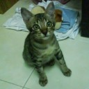 สมาชิกหมายเลข 1250003