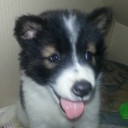 สมาชิกหมายเลข 2277853