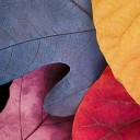 สมาชิกหมายเลข 2997091