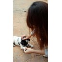 สมาชิกหมายเลข 1329243