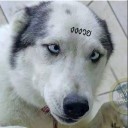 น้องงงงวย