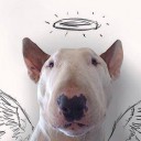 สมาชิกหมายเลข 1785345