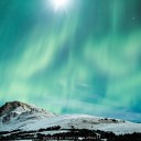 สมาชิกหมายเลข 2981027