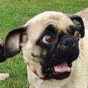 สมาชิกหมายเลข 1785787