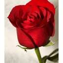 สมาชิกหมายเลข 2629971