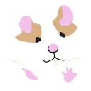 เป็นคุณแม่ของแฮมสเตอร์