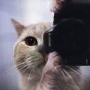 สมาชิกหมายเลข 957456