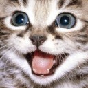 สมาชิกหมายเลข 1683020