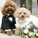 สมาชิกหมายเลข 2197656