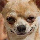 สมาชิกหมายเลข 877081