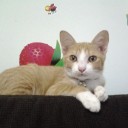 สมาชิกหมายเลข 958091