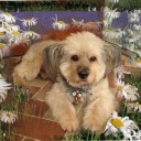 สมาชิกหมายเลข 1786223