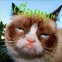 สมาชิกหมายเลข 1786623