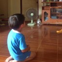 สมาชิกหมายเลข 1336756